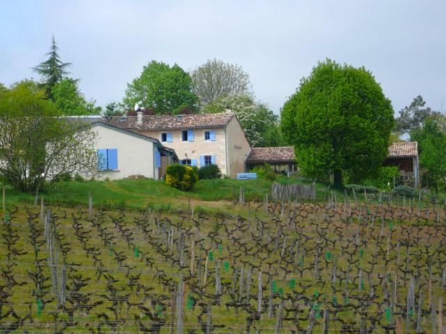 Chateau Regaldo-Saint Blancard Salleboeuf Exteriér fotografie